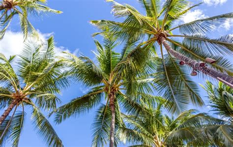 Hawaii sports betting bill falls short despite passing in state House .